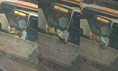 Vídeo Chocante: Homem é Arremessado no Ribeirão Arrudas em Belo Horizonte; Buscas Continuam