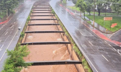 Chuva Intensa Causa Alagamentos e Quedas de Árvores em BH e Cidades Mineiras; Bombeiros Atendem Centenas de Ocorrências
