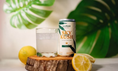 Carnaval de BH: Destilaria mineira lança uísque com aroma de maconha para foliões