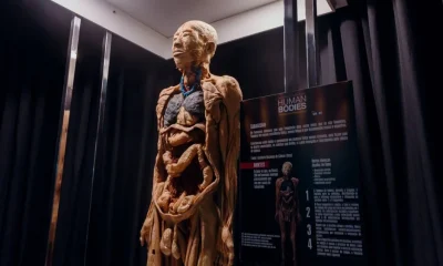 Belo Horizonte recebe "Human Bodies", exposição internacional com corpos reais e sala imersiva