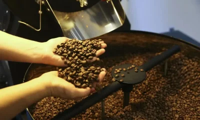 Varginha Lidera Exportações Mineiras em 2025: Café Impulsiona Faturamento e Muda Mapa Econômico do Estado