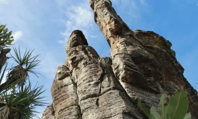 Delfinópolis: O Paraíso das Cachoeiras em Minas que se Consolida como Capital do Ecoturismo Mineiro