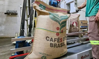 Acordo Mercosul-UE: Minas Gerais Lidera Exportações Agropecuárias Rumo à Europa com Selo Verde