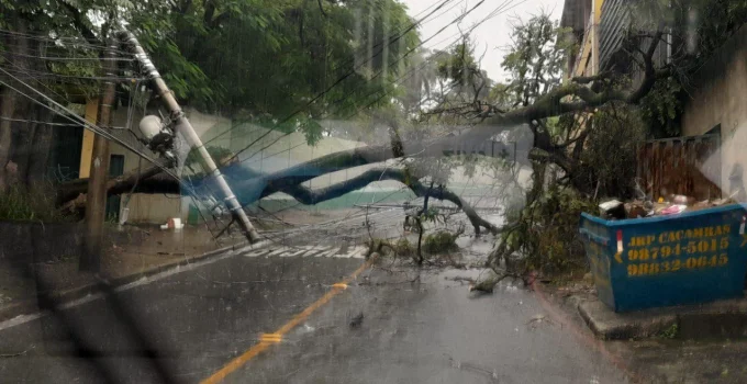 Árvore Gigante Cede com Chuva Forte e Derruba 3 Postes, Interditando Rua no Bairro Juliana, Zona Norte de BH
