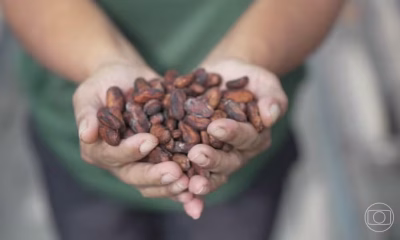 Café de MG é condenado a pagar R$ 150 mil por vender produto com 5 vezes mais impureza que o permitido pela Anvisa