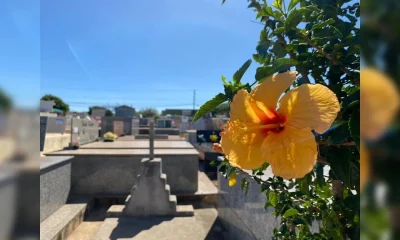 Apucarana e Região Lamentam Falecimentos Neste Domingo (30): Veja os Nomes e Horários dos Sepultamentos