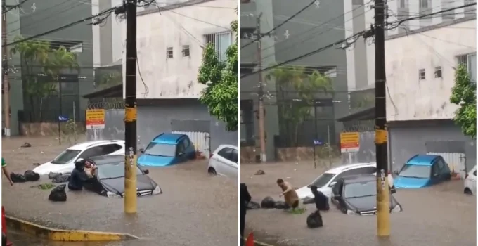 Vídeo: Homem em situação de rua é herói inesperado em resgate de motorista ilhado em Belo Horizonte
