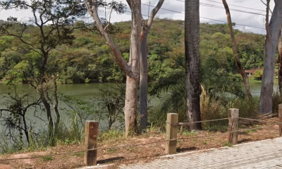 Homem suspeito de agredir e deixar babá seminua em Santa Luzia é preso em Jaíba, no Norte de Minas