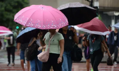 Chuva em BH neste domingo (1º/2)? Defesa Civil alerta para mais precipitações e ventos fortes em Minas
