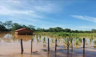 Cheias do Rio São Francisco Causam R$ 6 Milhões em Prejuízos e Mantêm Alerta em Cidades Mineiras