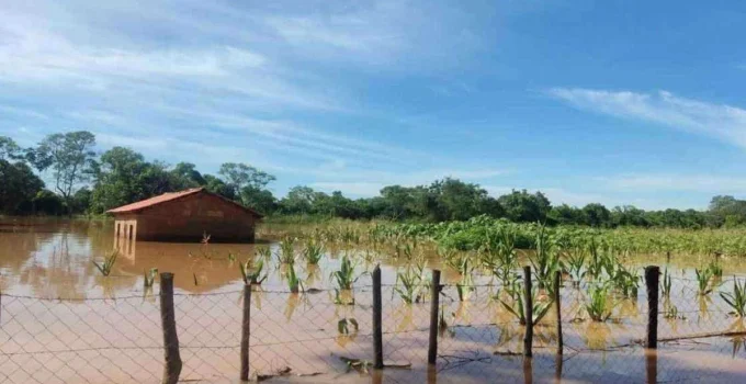 Cheias do Rio São Francisco Causam R$ 6 Milhões em Prejuízos e Mantêm Alerta em Cidades Mineiras