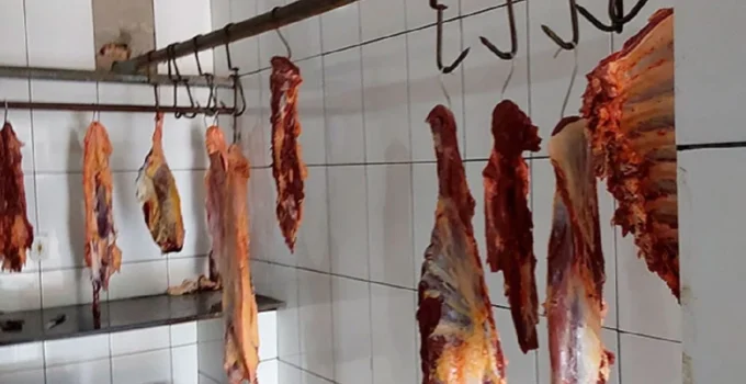 Operação em 3 Cidades Mineiras Apreende Quase 2 Toneladas de Carne Impura e Interdita Açougues