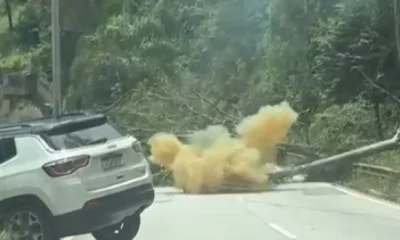Árvore Gigante Causa Caos na MG-030: Postes Caem, Carro é Atingido e Rodovia é Interditada em Nova Lima