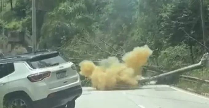 Árvore Gigante Causa Caos na MG-030: Postes Caem, Carro é Atingido e Rodovia é Interditada em Nova Lima