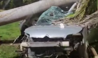 Motorista de 52 anos morre após carro sair da pista e colidir violentamente com palmeira na BR-381 em Ipatinga