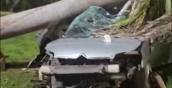 Motorista de 52 anos morre após carro sair da pista e colidir violentamente com palmeira na BR-381 em Ipatinga