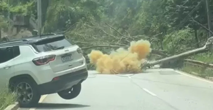 Árvore Gigante Interrompe Tráfego na MG-030 em Nova Lima Após Derrubar Três Postes; Motorista Escapa ilesa
