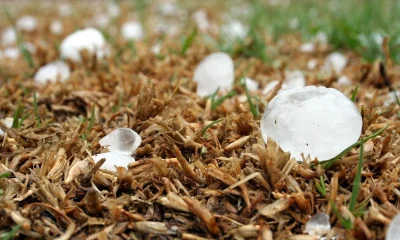 Alerta de Granizo em BH: Defesa Civil Pede Atenção Redobrada para Chuvas Fortes na Tarde de Domingo