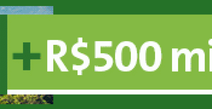 Acidente na BR-381 em Ipatinga: Citroën C4 Pallas sai da pista, arranca palmeira e deixa vítima fatal