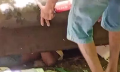 Mulher é encontrada morta em sofá abandonado em matagal de Nova Serrana, MG; corpo apresentava sinais de agressão