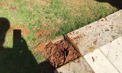 Idosa de 73 anos atropelada na Avenida Vilarinho, em Venda Nova, é sepultada em BH