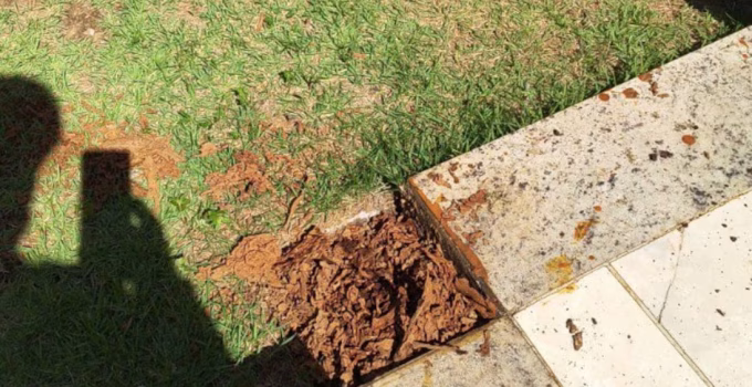 Idosa de 73 anos atropelada na Avenida Vilarinho, em Venda Nova, é sepultada em BH