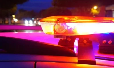 Tragédia em MG: Eucalipto cai sobre carro e bebê de 1 ano morre na MG-444