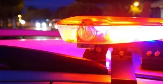 Tragédia em MG: Eucalipto cai sobre carro e bebê de 1 ano morre na MG-444