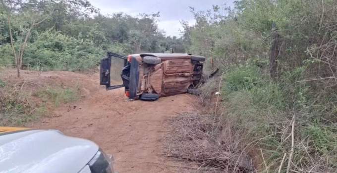 Fuga, capotamento e caça ilegal: motorista é preso com armas e carne de veado-catingueiro em Rio Pardo de Minas