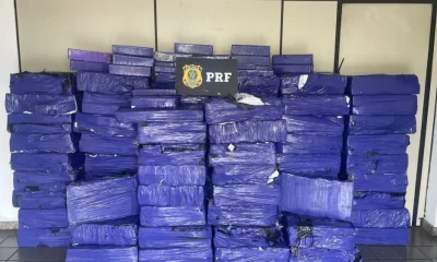 PRF apreende quase 2 toneladas de maconha escondidas em polvilho azedo em caminhão na BR-262, Grande BH