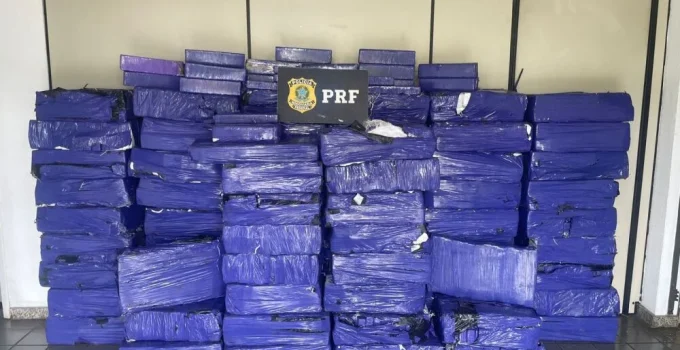 PRF apreende quase 2 toneladas de maconha escondidas em polvilho azedo em caminhão na BR-262, Grande BH