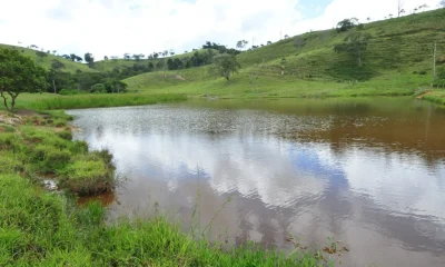 Corpo em avançado estado de decomposição é encontrado boiando no Rio Paraopeba, em Esmeraldas