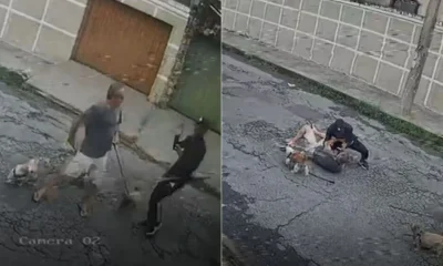 Homem é agredido e roubado enquanto passeava com cachorros em rua movimentada de BH; veja vídeo
