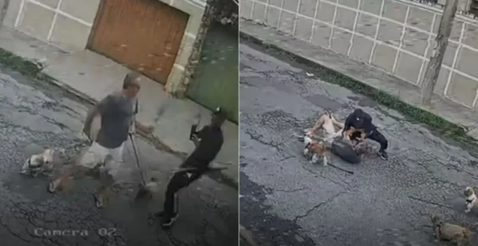 Homem é agredido e roubado enquanto passeava com cachorros em rua movimentada de BH; veja vídeo