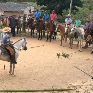 Vale do Aço Ganha Reforço em Capacitação Rural com Cursos Gratuitos do Sistema Faemg Senar