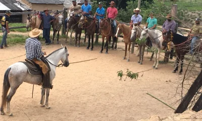 Vale do Aço Ganha Reforço em Capacitação Rural com Cursos Gratuitos do Sistema Faemg Senar