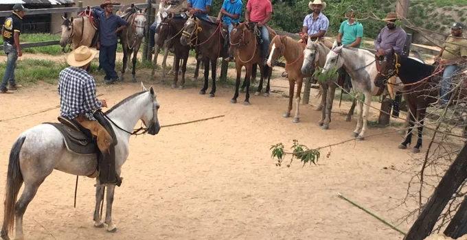 Vale do Aço Ganha Reforço em Capacitação Rural com Cursos Gratuitos do Sistema Faemg Senar
