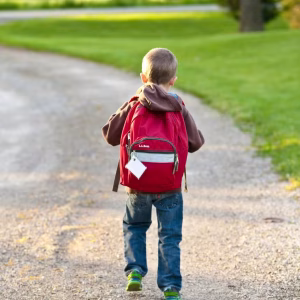 Menino Alemão de 7 Anos Causa Alvoroço em Escola ao Levar R$ 30 Mil para Impressionar Colegas