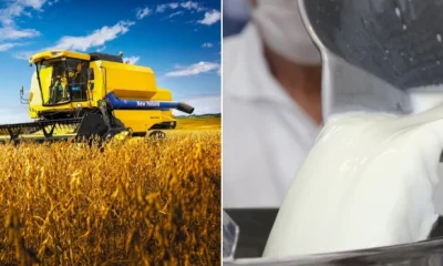 PIB de Minas Gerais Atinge Recorde Histórico de R$ 1,157 Trilhões em 2025, Impulsionado por Agropecuária e Serviços