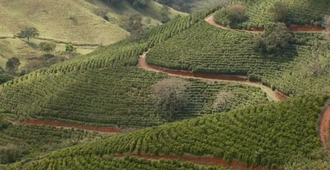 Festival Mantiqueira de Minas em Carmo de Minas celebra a excelência dos cafés especiais com programação intensa