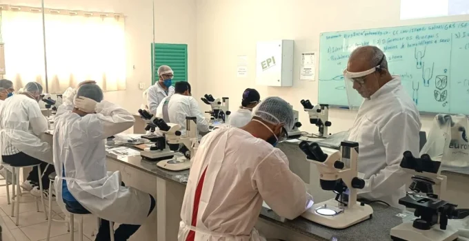 Saúde em Minas: Norte de Minas recebe R$ 3,2 milhões para fortalecer laboratórios de vigilância