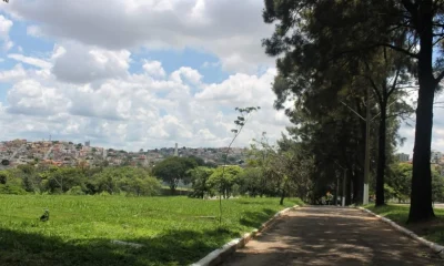 Mulher denuncia ameaças de coveiro e condições insalubres em enterro de mãe no Cemit&eacute;rio da Paz, em BH