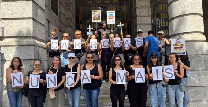 Lei que proíbe carroças em BH completa dois meses sob protestos por fiscalização efetiva