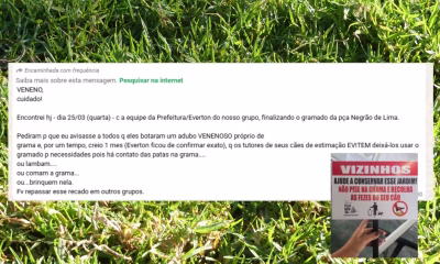 Adubo 'venenoso' em praça de BH? Prefeitura desmente boato e explica revitalização de gramado na Floresta