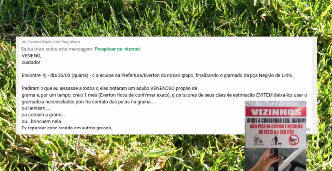 Adubo 'venenoso' em praça de BH? Prefeitura desmente boato e explica revitalização de gramado na Floresta