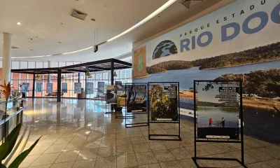 Parque Estadual do Rio Doce: Exposição Gratuita no Shopping Vale do Aço Celebra a Água e a Biodiversidade Local