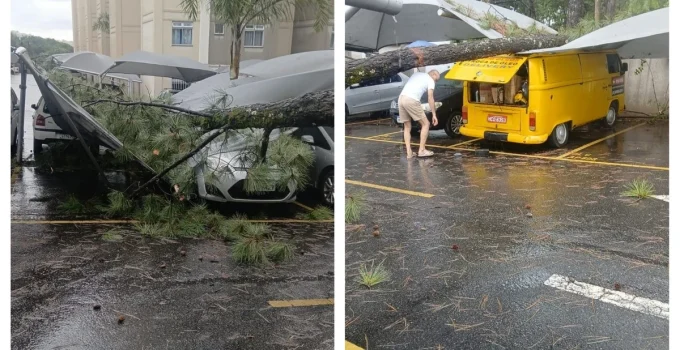 Árvore de Grande Porte Cede e Atinge Carros em Condomínio de Santa Luzia, na Grande BH