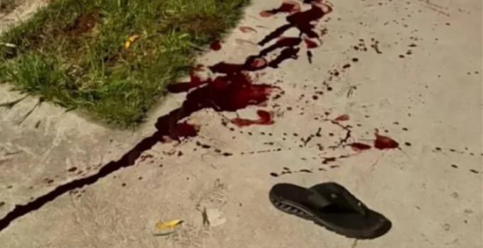 Pitbull Solto Ataca Homem no Barreiro e Gera Onda de Medo; Moradores Denunciam Insegurança Crônica na Região