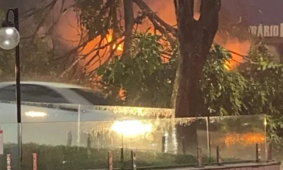 Raio causa incêndio em carro após atingir árvore em Belo Horizonte; ocupantes são resgatados