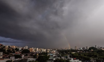 Granizo e Chuva Intensa Paralizam Belo Horizonte com Trânsito Caótico e Árvore Caída